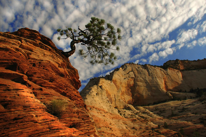 /galeri/May-3-14-18-43Zion_National_Park .jpg